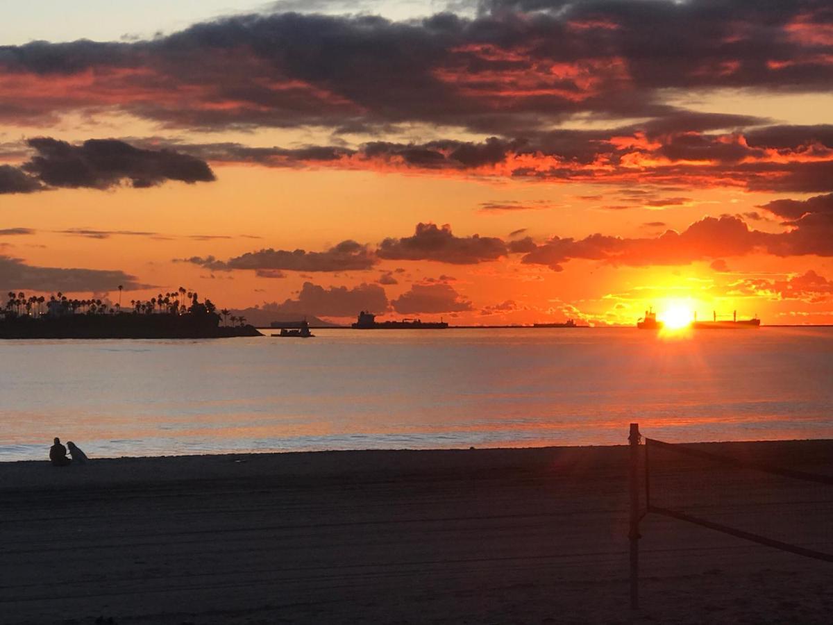 New Belmont Shore Retreat With Free Parking Walk To Beaches Long Beach Bagian luar foto